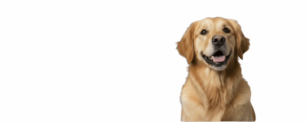 design sem nome (14)