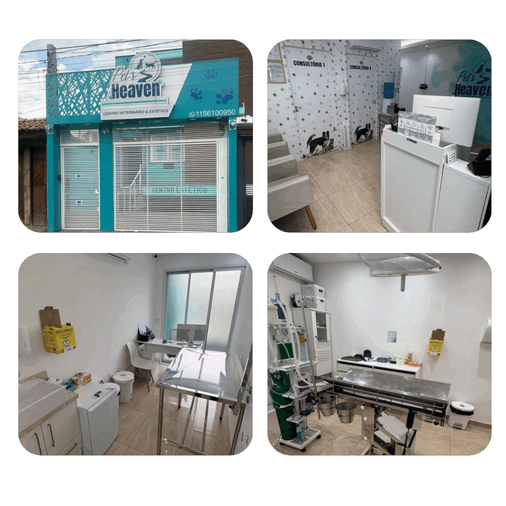 design sem nome (32)