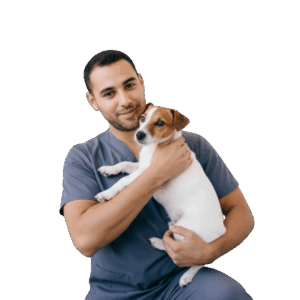 design sem nome (36)